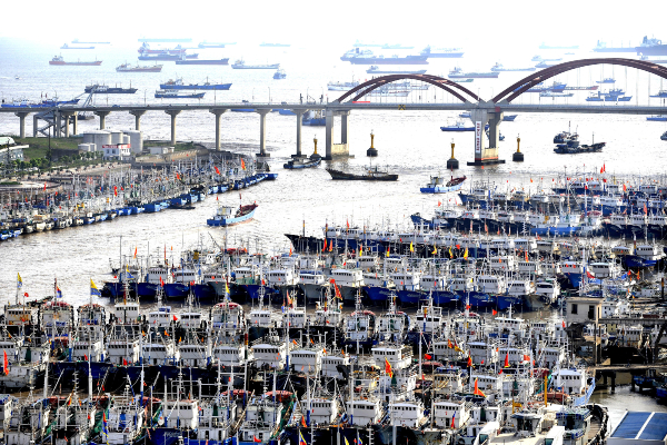 In the belly of the beast - Trawlers in Zhoushan, China, August 4, 2011.jpg