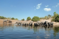 Anger as Botswana govt plans luxury hotels inside Chobe National Park
