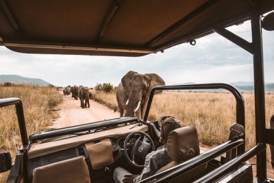 Tourists spotting elephants on safari before the pandemic hit. Photo by redcharlie on Unsplash
